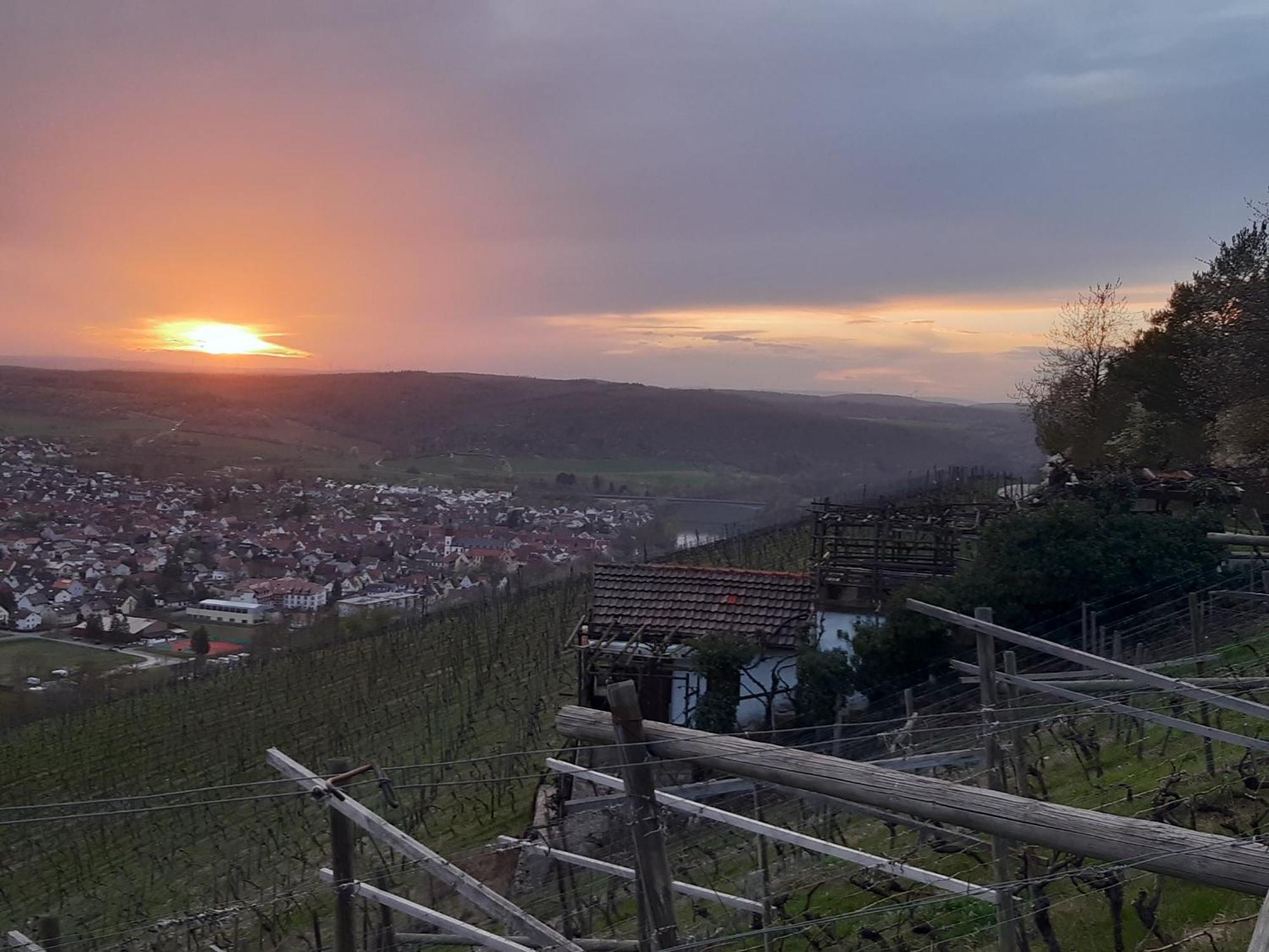 Ferienhaus An Der Hoeh' Zellingen Buitenkant foto